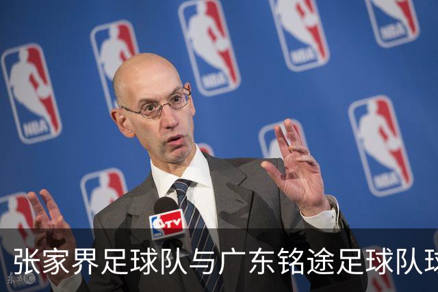 张家界足球队与广东铭途足球队球员赛中发生肢体冲突 官方通报